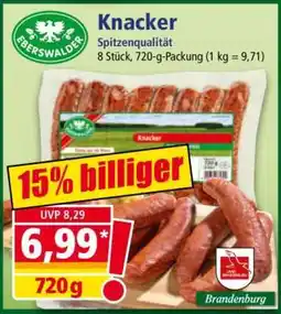 Norma Knacker Angebot
