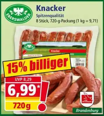 Norma Knacker Angebot