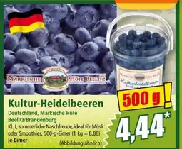 Norma Kultur­ heidelbeeren Angebot