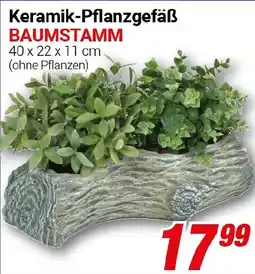 CENTERSHOP Keramik-Pflanzgefäß BAUMSTAMM Angebot
