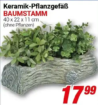 CENTERSHOP Keramik-Pflanzgefäß BAUMSTAMM Angebot
