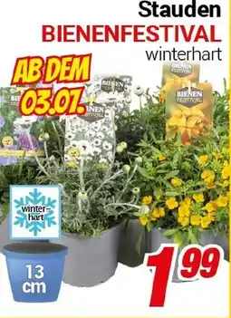 CENTERSHOP Stauden BIENENFESTIVAL Angebot