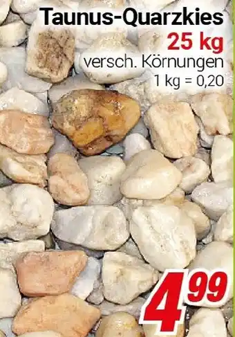 CENTERSHOP Taunus-Quarzkies Angebot