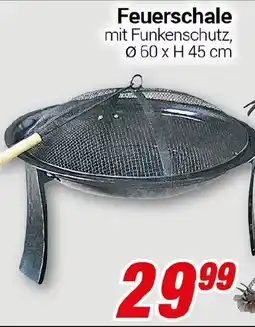 CENTERSHOP Feuerschale Angebot