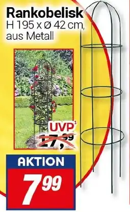 CENTERSHOP Rankobelisk Angebot