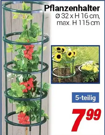 CENTERSHOP Pflanzenhalter Angebot