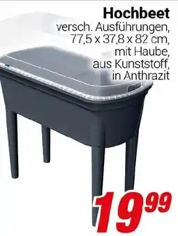 CENTERSHOP Hochbeet Angebot