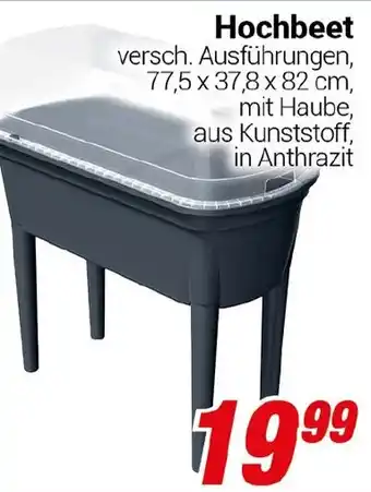 CENTERSHOP Hochbeet Angebot