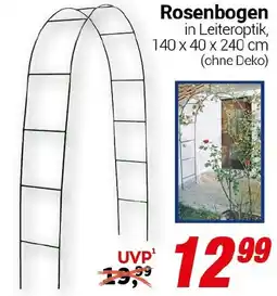 CENTERSHOP Rosenbogen Angebot
