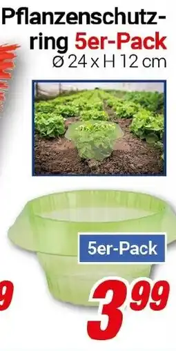 CENTERSHOP Pflanzenschutz- ring 5er-Pack Angebot