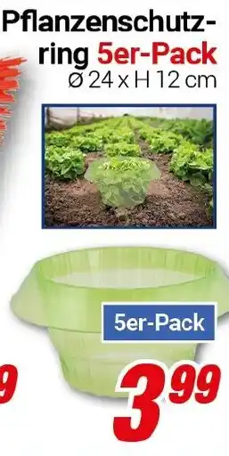 CENTERSHOP Pflanzenschutz- ring 5er-Pack Angebot
