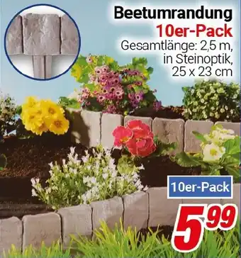 CENTERSHOP Beetumrandung 10er pack Angebot