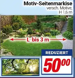 CENTERSHOP Motiv-Seitenmarkise Angebot