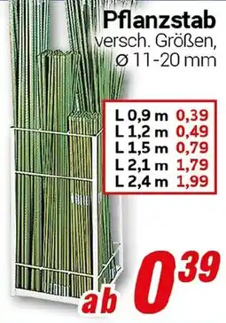 CENTERSHOP Pflanzstab Angebot