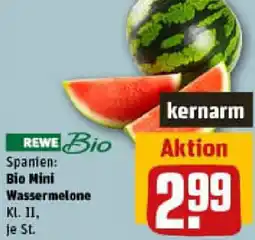 REWE Bio Mini Wassermelone Angebot