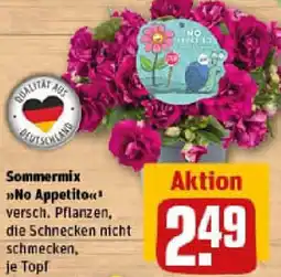 REWE Sommermix No Appetito Angebot