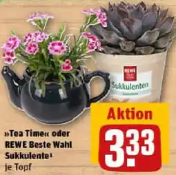 REWE Tea Time oder REWE Beste Wahl Sukkulente Angebot