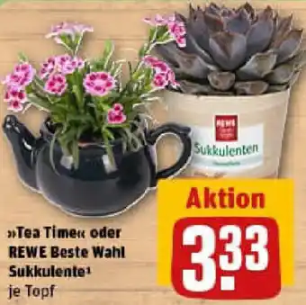 REWE Tea Time oder REWE Beste Wahl Sukkulente Angebot
