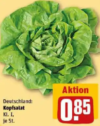 REWE Kopfsalat Angebot