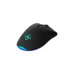 Netto Marken-Discount Deltaco DM430 Gaming Maus Wireless RGB schwarz Angebot