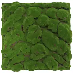 toom Baumarkt Jangal Wandpaneel 'Moos grob' Waldgrün 52 x 52 cm Angebot