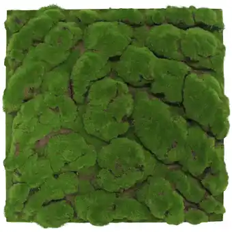 toom Baumarkt Jangal Wandpaneel 'Moos grob' Waldgrün 52 x 52 cm Angebot
