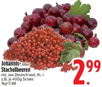 Edeka Johannis- oder Stachelbeeren Angebot