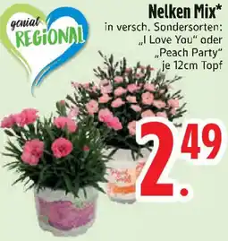 Edeka Nelken Mix Angebot