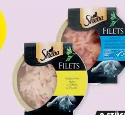 Mäc Geiz Sheba Katzenfutter Angebot