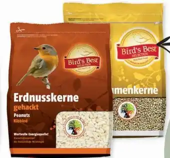 Mäc Geiz Bird’s Best Erdnusskerne Angebot