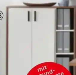 XXXLutz Stylife Aktenschrank Angebot