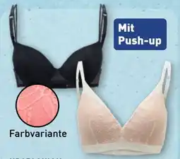 Aldi Nord Up2Fashion Damen BH Angebot