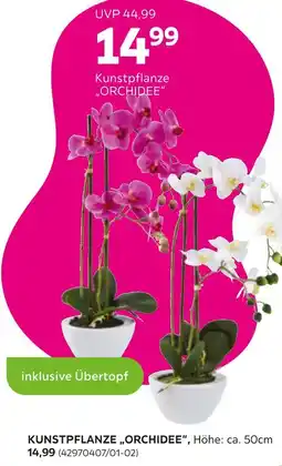 Mömax Kunstpflanze orchidee Angebot
