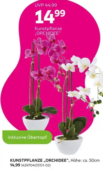 Mömax Kunstpflanze orchidee Angebot