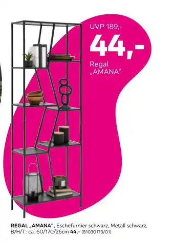 Mömax Regal amana Angebot