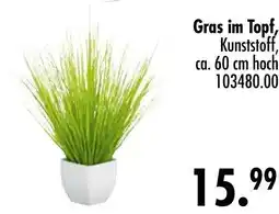 Möbel Boss Gras im topf Angebot
