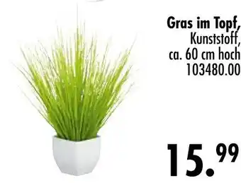 Möbel Boss Gras im topf Angebot