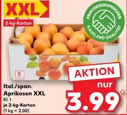 Kaufland Ital./span. aprikosen xxl Angebot