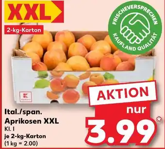 Kaufland Ital./span. aprikosen xxl Angebot