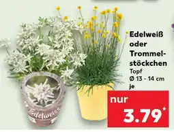 Kaufland Edelweiß Angebot