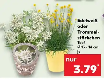 Kaufland Edelweiß Angebot