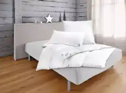 Möbel Inhofer Pro Night Federkopfkissen Angebot