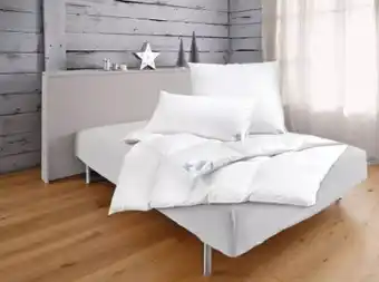Möbel Inhofer Pro Night Federkopfkissen Angebot