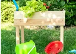 Aldi Nord Kensho Kinder-Hochbeet Angebot