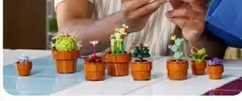 Aldi Nord LEGO 10329 Creator Expert Mini Pflanzen Angebot