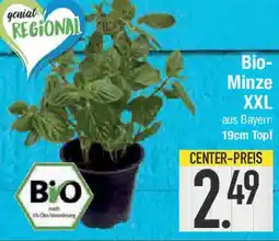 E-Center Bio-Minze XXL Angebot