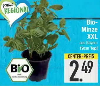 E-Center Bio-Minze XXL Angebot