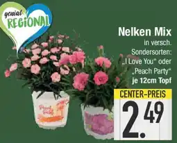 E-Center Nelken Mix Angebot