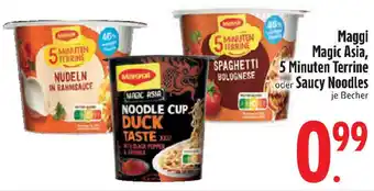 Edeka Maggi Magic Asia, 5 Minuten Terrine oder Saucy Noodles Angebot