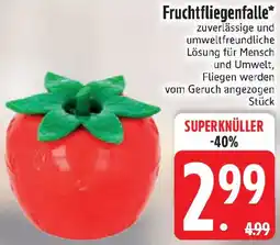 Edeka Fruchtfliegenfalle Angebot